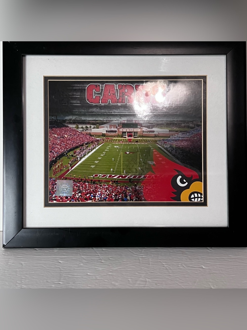 Louisville Cardinal Football Stadium Framed Photo Officially Licensed #MO4701153